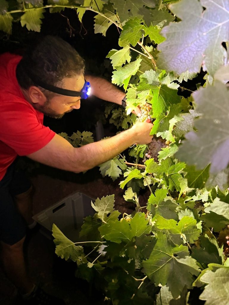 Instagram post from garagewineofficial. This post is in position 12.