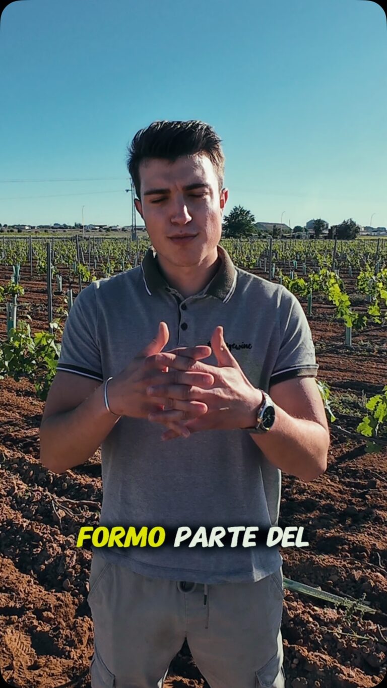 Instagram post from garagewineofficial. This post is in position 1.