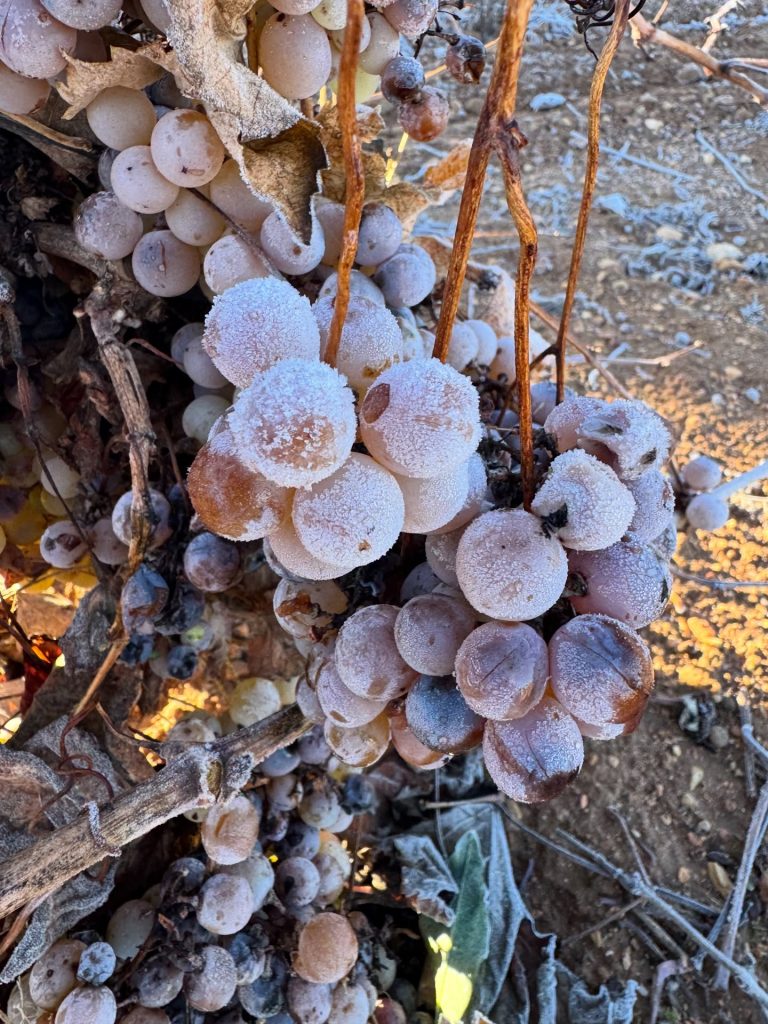 Instagram post from garagewineofficial. This post is in position 3.