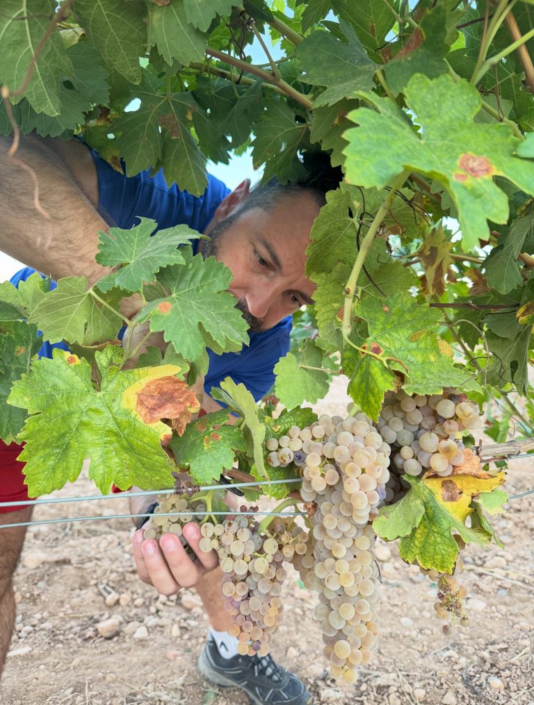 Instagram post from garagewineofficial. This post is in position 1.