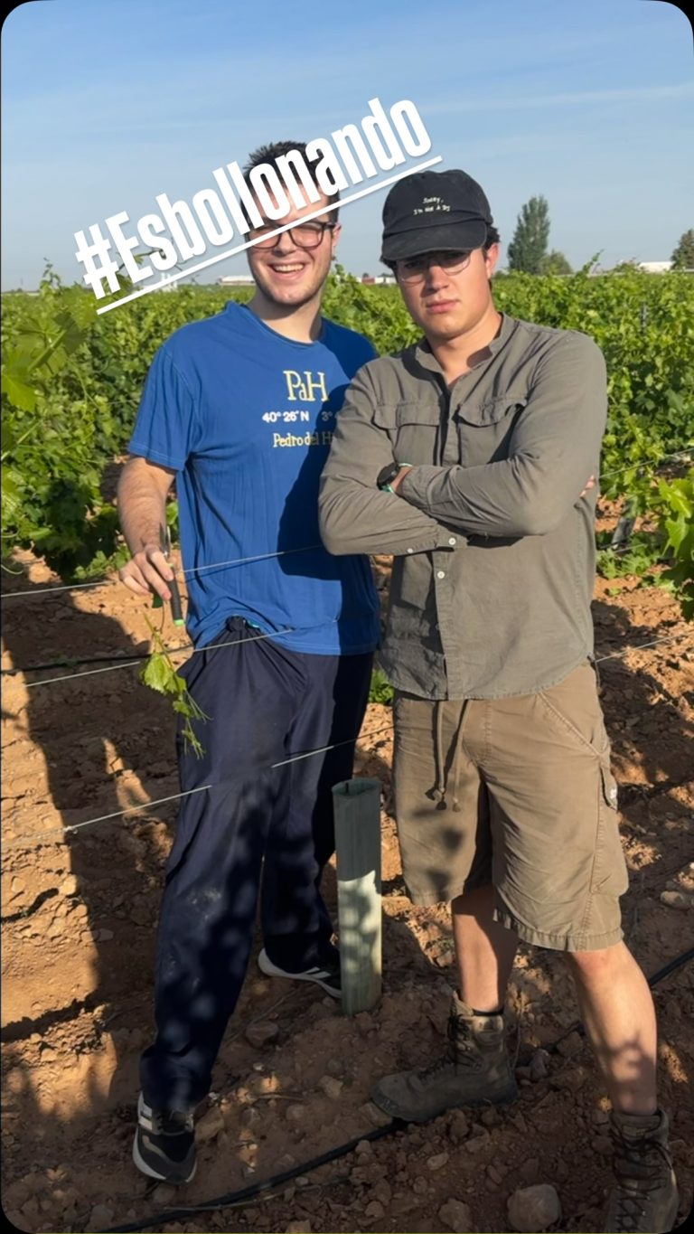 Instagram post from garagewineofficial. This post is in position 1.